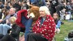 Miles de ciudadanos dieron su último adiós a Isabel II en Hyde Park