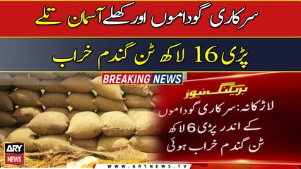 Rain damages 1.6 million tonnes  of wheat stock in  Larkana