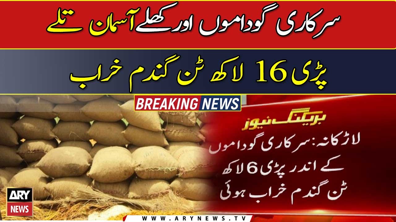 Rain damages 1.6 million tonnes  of wheat stock in  Larkana