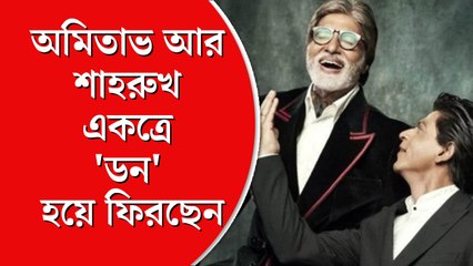 অমিতাভ আর শাহরুখ একত্রে 'ডন' হয়ে ফিরছেন