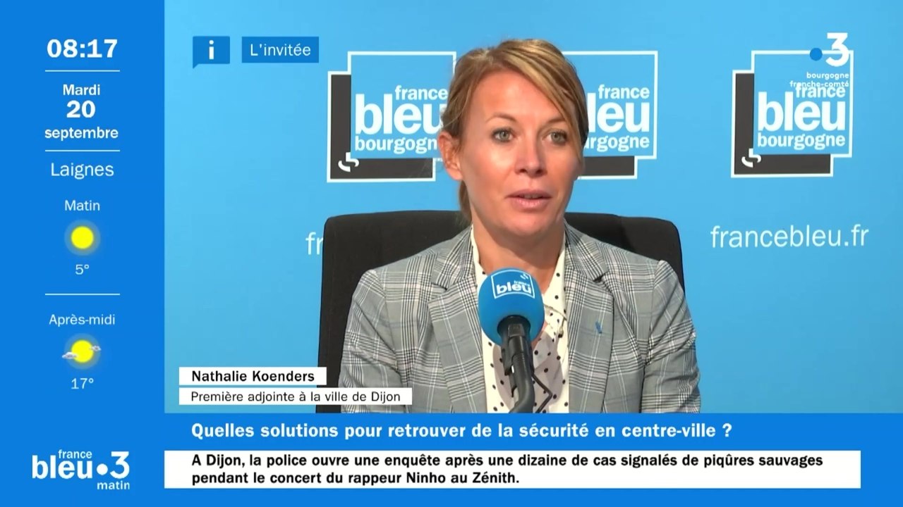 Violences quartier République à Dijon : Des vigiles vont surveiller les deux jardins publics sur la place