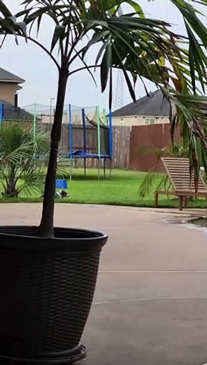 Huckleberry the Puppy Discovered the Pool