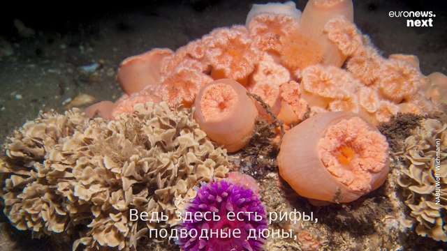 Фемарнбельтский тоннель: стоят ли достоинства крупнейшего в мире ж/д туннеля наносимого им ущерба?