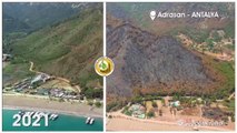 Orman Genel Müdürlüğü, Adrasan'da 5 yıl önce yanan ormanlık alanın son halini paylaştı