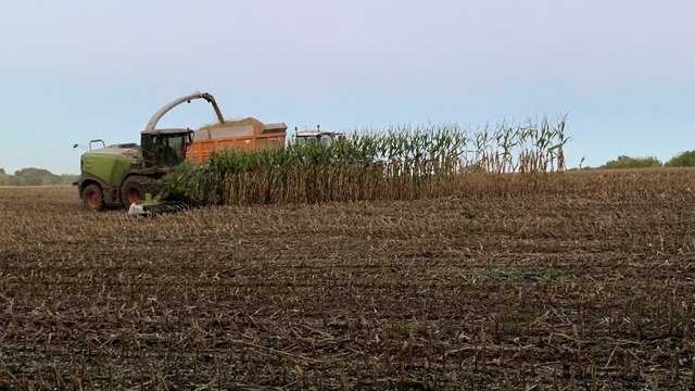 Premières estimations de la qualité des maïs fourrages 2022