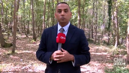 Istranca Ormanları'nda 2 yılın ardından mantar bereketi