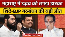 Maharashtra Sarpanch Election में Shinde-BJP Alliance को बड़ी जीत | वनइंडिया हिंदी |*Politics