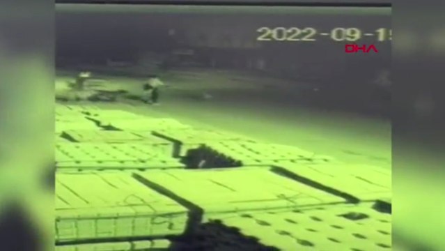 Sokak köpekleri genç kıza böyle saldırdı