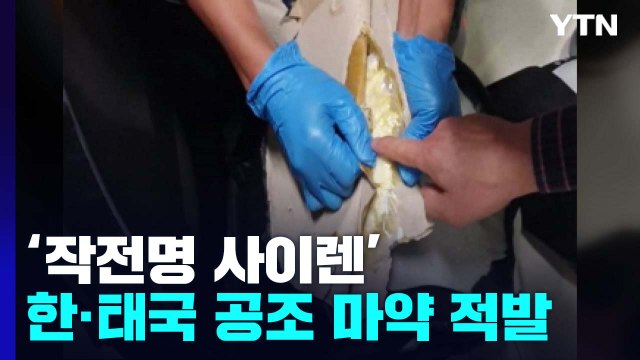 '작전명 사이렌' 한·태국 공조로 평소 3배 마약 적발 / YTN