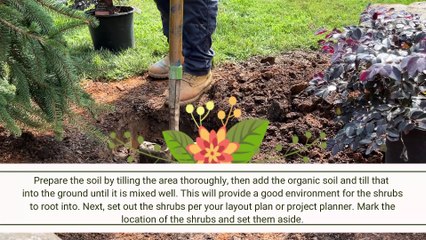 Planting Shrub English VO Final