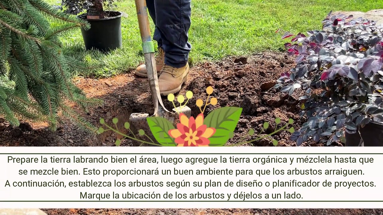 planting-shrub-spanish-video-dailymotion