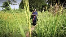 Vandana Shiva: Ein Leben für die Erde - Trailer (Deutsch) HD