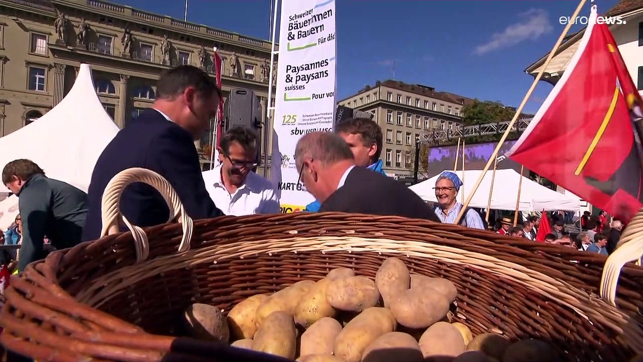 Riesig gebraten: Die Berner Weltrekord-Rösti