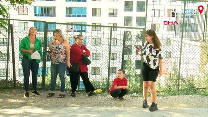 Ankara'da çamaşır suyu ile kedi ölümüne inceleme