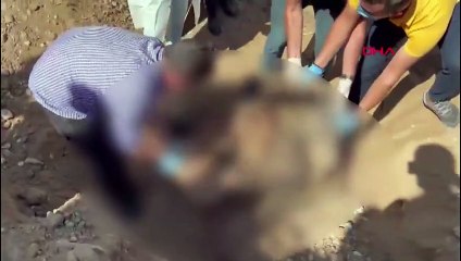 2 yıldır kayıptı, aile içi vahşete kurban gitmiş!