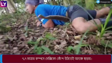 Earthquake: ভয়ঙ্কর ভূমিকম্প মেক্সিকোয়, সুনামি আতঙ্ক