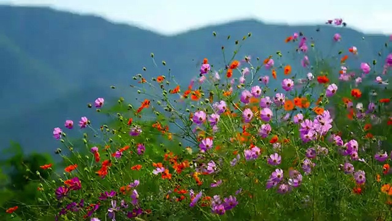 Beautiful Scenes with Piano Background Music:  Soft Piano Music - Yoga Music - RelxRana Music 2022