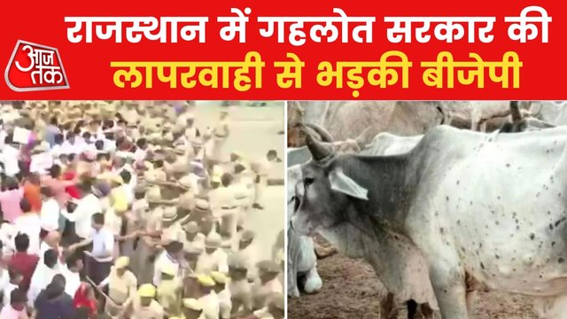 BJP created ruckus against Gehlot govt over Lumpy virus