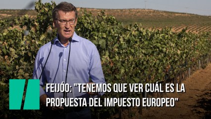 Feijóo: "Tenemos que ver cuál es la propuesta del impuesto europeo"