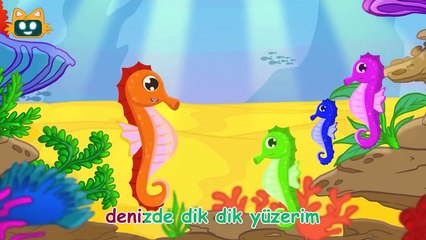 Hayvan Şarkıları | Okul Etkinlikleri için Şarkılar