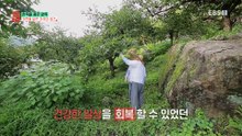 건축탐구- 집 - 한옥을 품은 양옥_#003