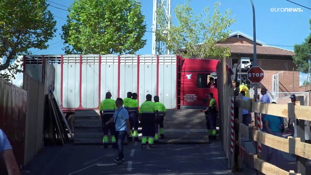 Забеги быков в Испании: быть или не быть?