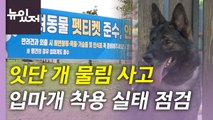 [뉴있저] 당신은 펫티켓을 잘 지키십니까?...잇단 반려견 사고, 대책은? / YTN