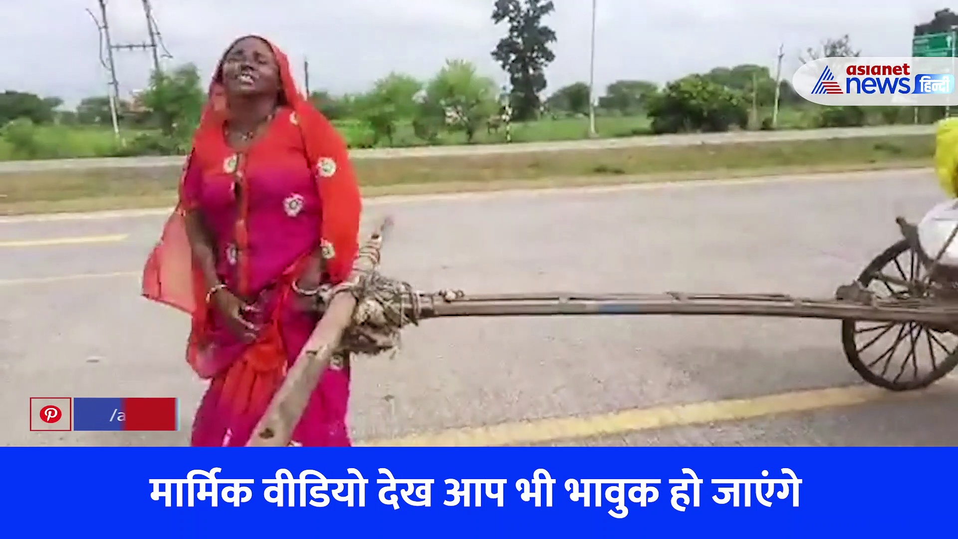 रुला देगा बैल की जगह खुद गाड़ी खींचती लाचार विधवा मां का VIDEO, बोली खाना तक नसीब नहीं 