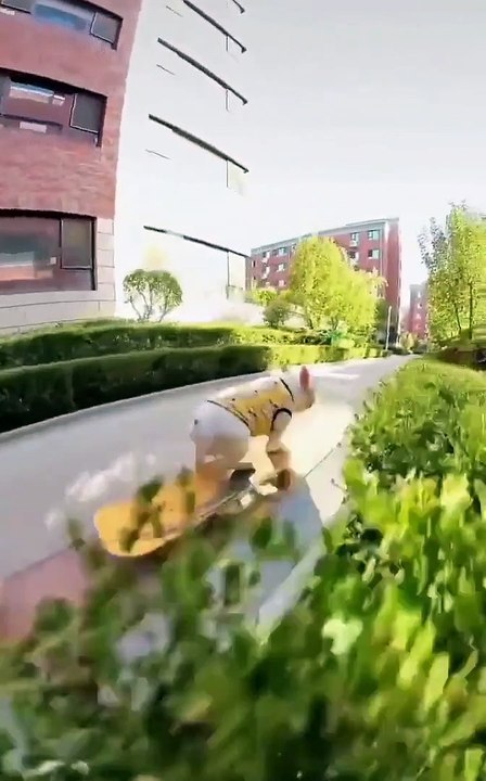 Skateboarding     | Catch me if you can | Game