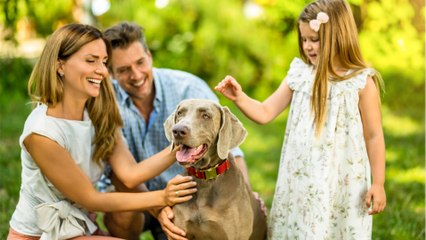 Download Video: The family’s happy tears as they reunite with their beloved dog after months apart (VIDEO)