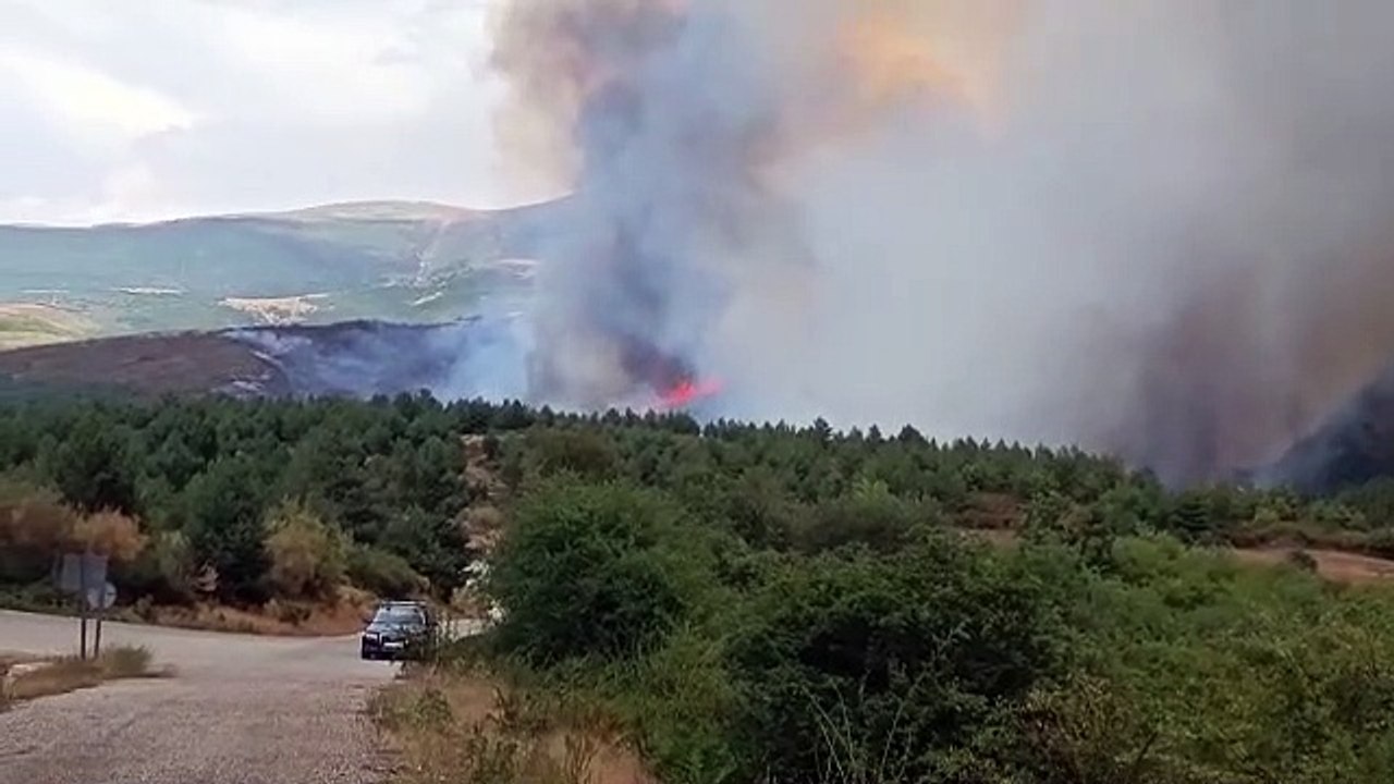 Pineda