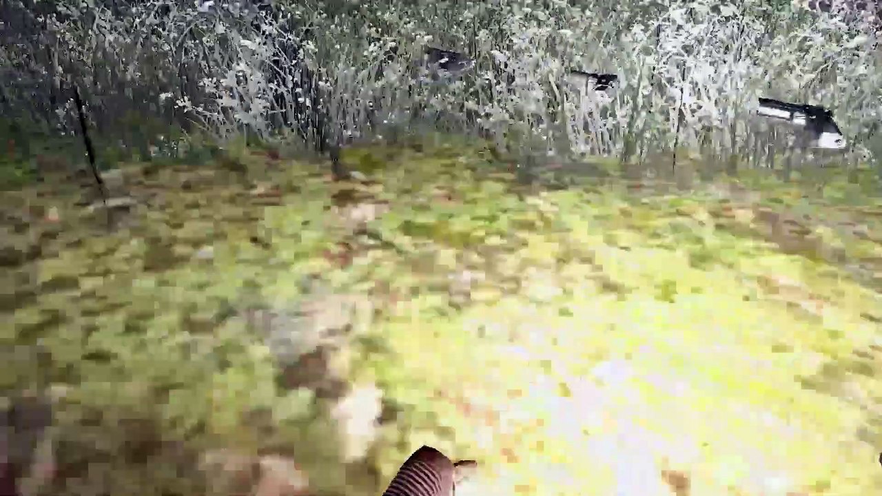 First Timer to Pavlov VR