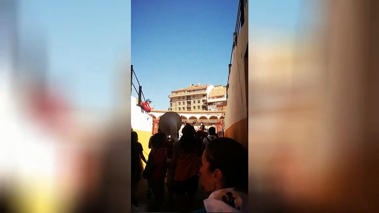 Alegría en la plaza el Viernes de Toros