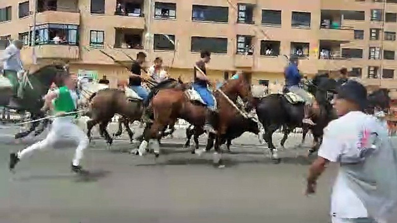 Los novillos entran en la capital
