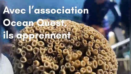 A Toulon, une école forme les plongeurs à la préservation du corail