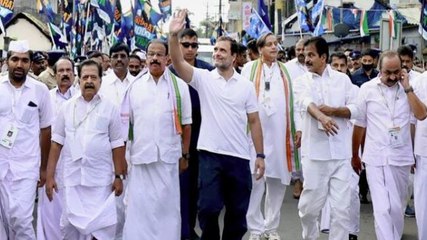 Plea filed in Kerala HC seeks regulation of Congress's Bharat Jodo Yatra