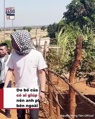 Giỏi như Quang Linh: Tự xây chuồng, tạo máng ăn, thứ gì cũng làm được | Điện Ảnh Net