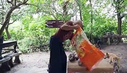 A Thai artisan is preserving a centuries-old craft by carving snail shells into art