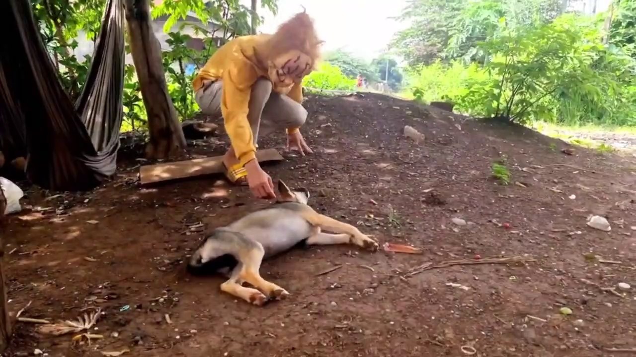 Prank Dog chucky prank to dog Funny Prank I funniest animal prank videos, dog prank with mask I video prank binatang paling lucu , prank anjing dengan topeng terbaru I أطرف مقاطع فيديو مزحة للحيوانات ، مزحة للكلاب بأحدث الأقنعة