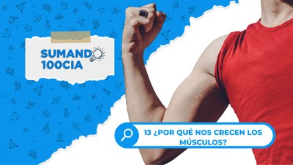13 ¿POR QUÉ NOS CRECEN LOS MÚSCULOS?