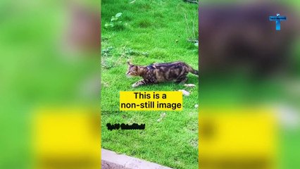 13 Minutes of Unbelievable Moments Caught On Camera