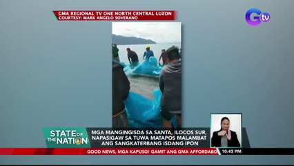 Mga mangingisda sa Santa, Ilocos Sur, napasigaw sa tuwa matapos malambat ang sangkaterbang isdang ipon | SONA