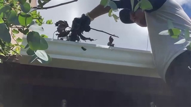 bd-mantenimiento-y-limpieza-de-canoas-200922