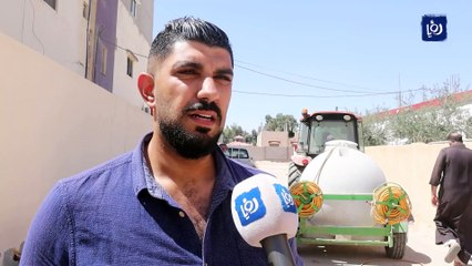 النمل الأبيض.. مشكلة تتفاقم والمبيدات لا تكفي