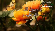 Sahih Bukhari Hadees No.11 _ Hadees Nabvi in Urdu _ Bukhari Hadees _ Bukhari Shareef in Urdu