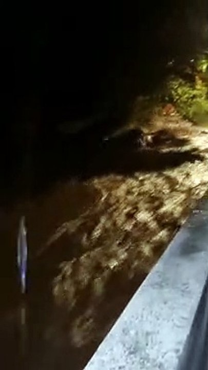 VIDÉO GPE 7