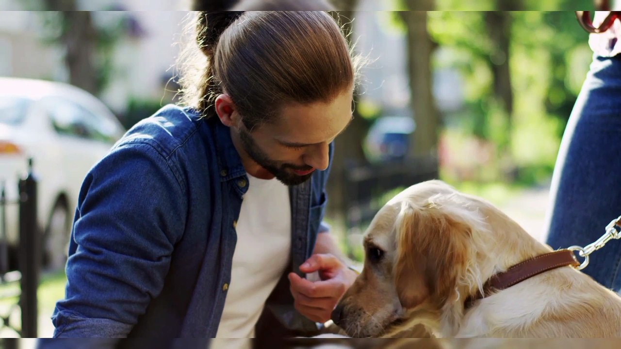 ৫ টি অদ্ভুত কুকুর যা ডাক্তারের আগে তার মালিকের রোগ শনাক্ত করে,5 weird dogs that diagnose their owner's illnesses before the doctor