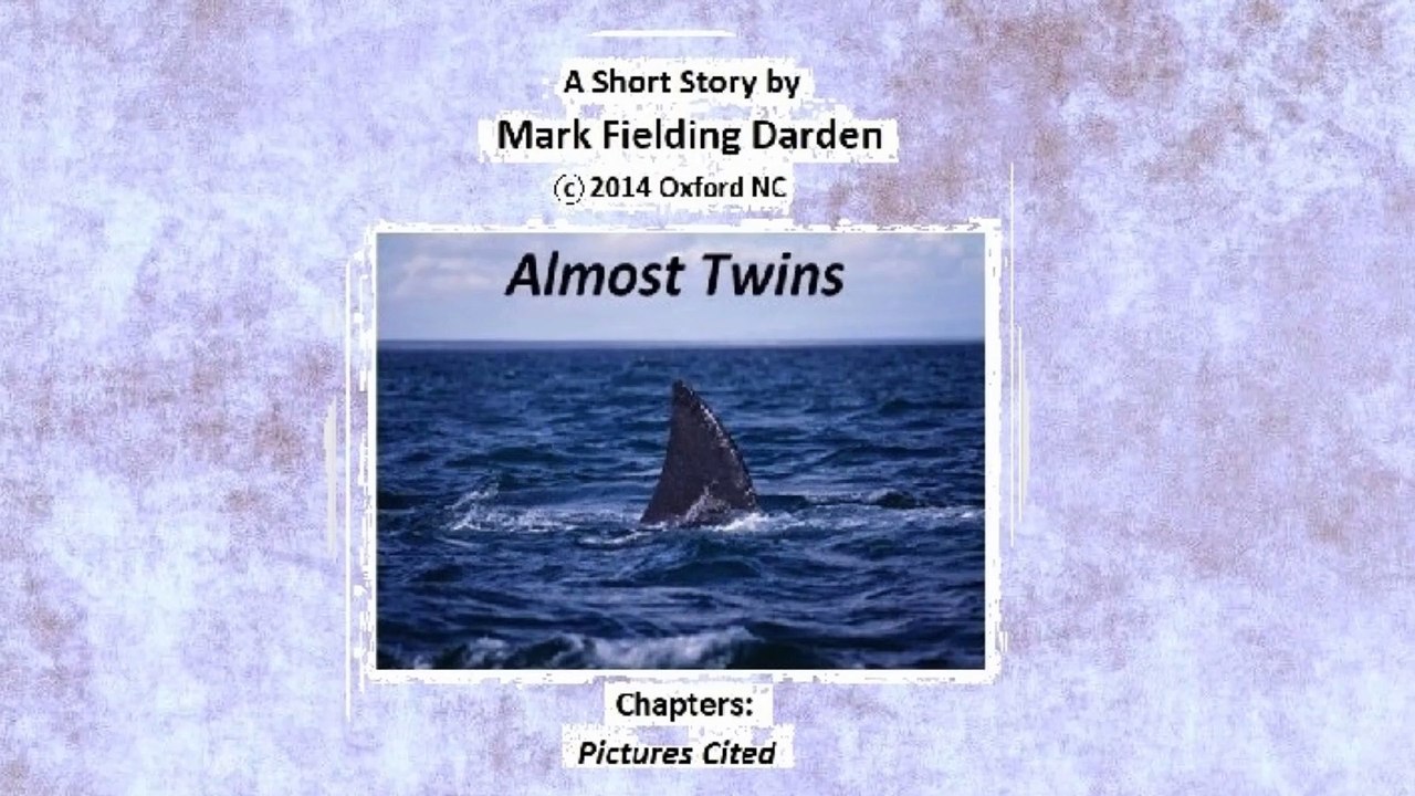 13 Almost Twins 2014