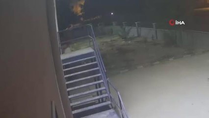 Son dakika haberi... Okuldan kablo hırsızlığı kamerada