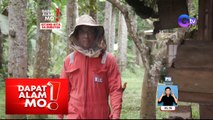Dating seaman, isang successful bee farmer na ngayon! | Dapat Alam Mo!